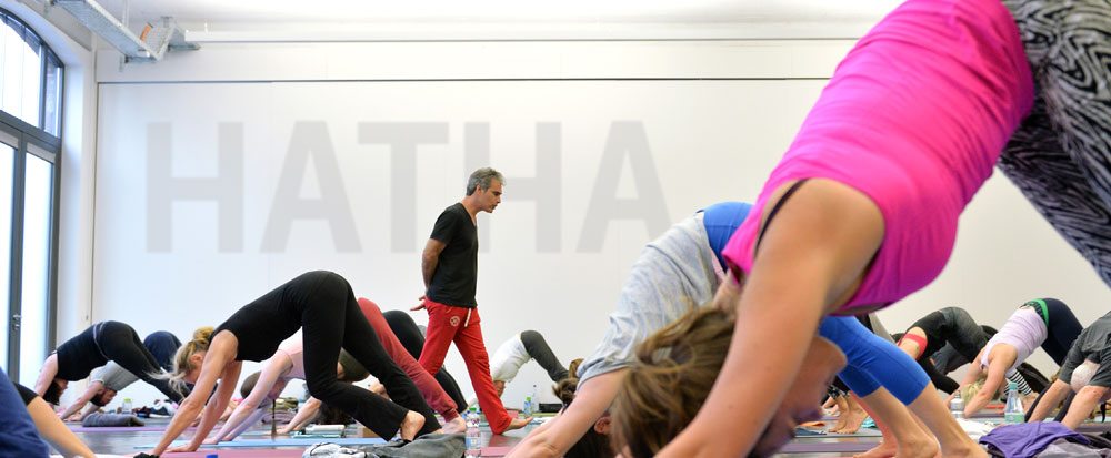 What is hatha yoga
