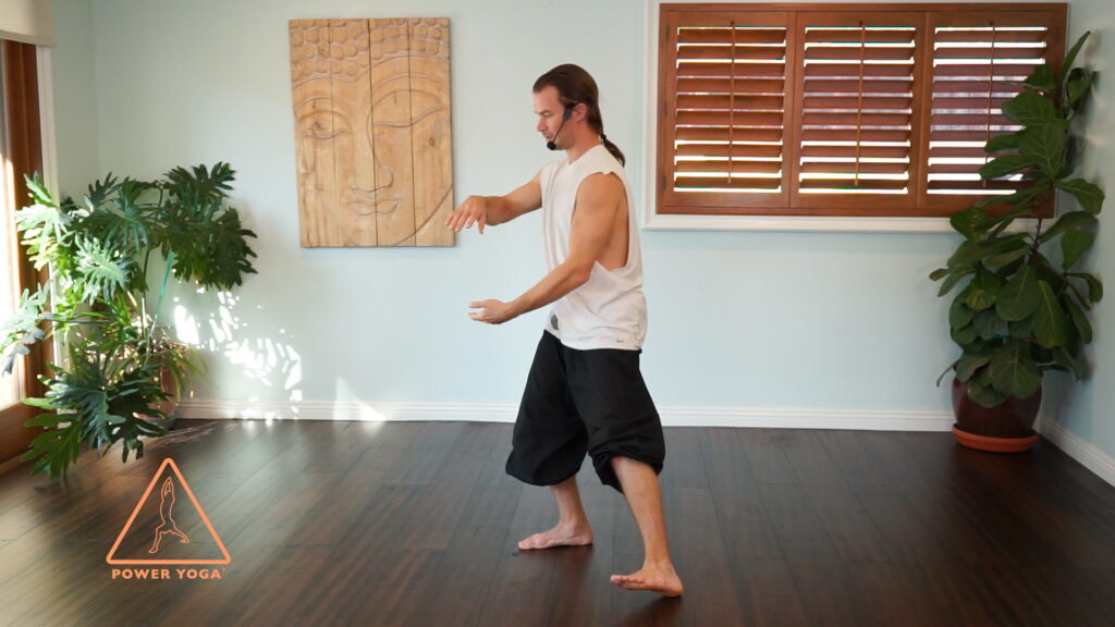 Tai Chi - Lesson: 7 Ward Off, Roll Back, Press Push (one side)